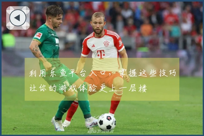 利用乐鱼平台入口，掌握这些技巧让你的游戏体验更上一层楼